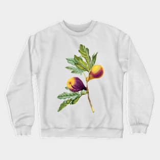 Vintage Botanical Print, Fig by Redoute Crewneck Sweatshirt